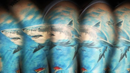 Татуировки акулы фото
